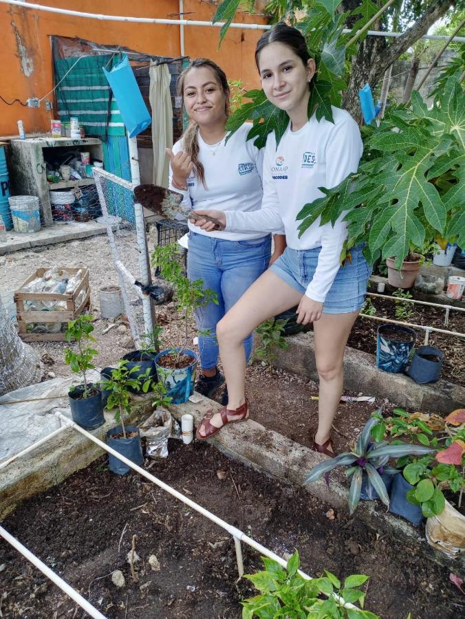 Sustainable Cabain Apartment Cozumel Bagian luar foto