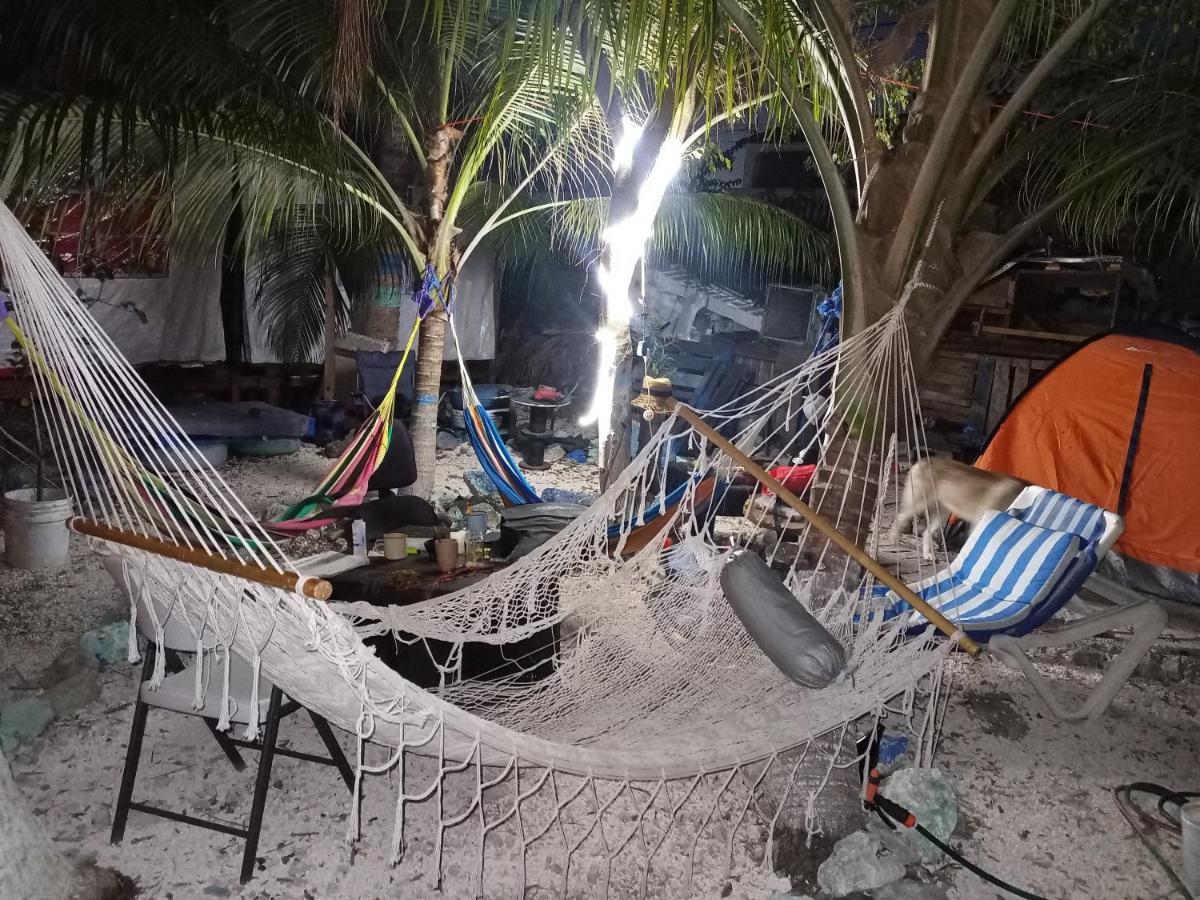 Sustainable Cabain Apartment Cozumel Bagian luar foto