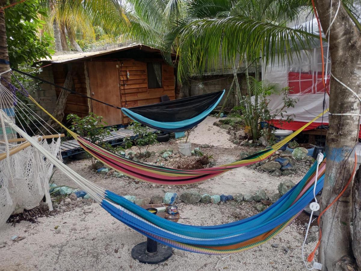 Sustainable Cabain Apartment Cozumel Bagian luar foto